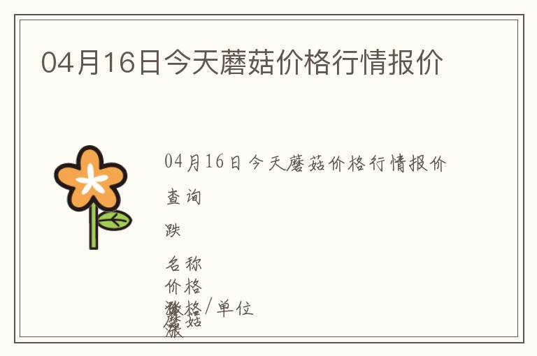 04月16日今天蘑菇價格行情報價
