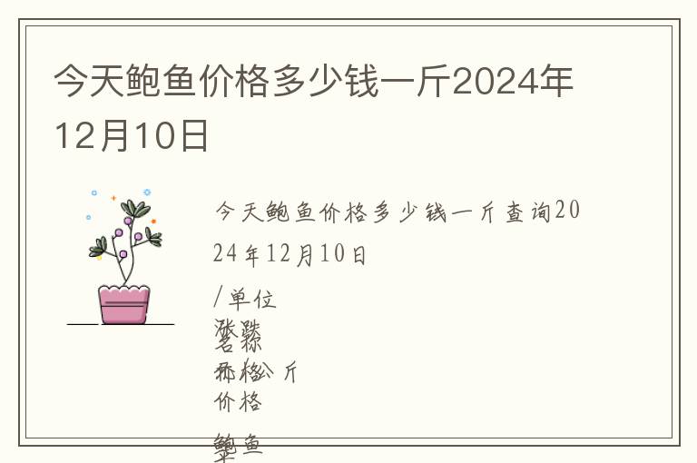 今天鮑魚價格多少錢一斤2024年12月10日
