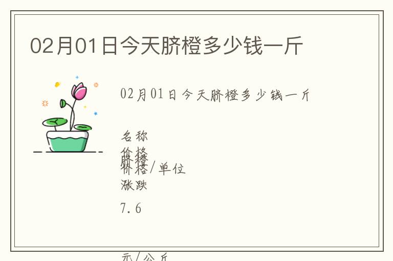 02月01日今天臍橙多少錢一斤