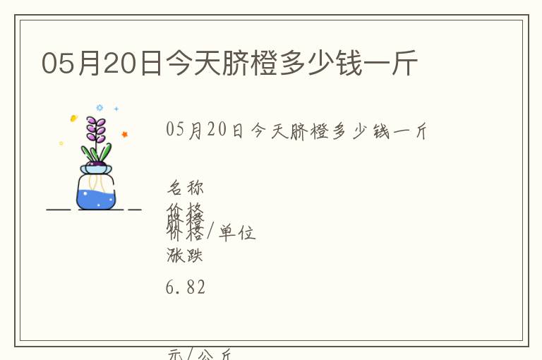 05月20日今天臍橙多少錢一斤