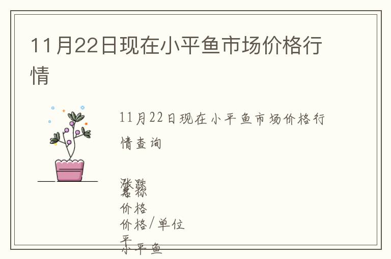 11月22日現在小平魚市場價格行情