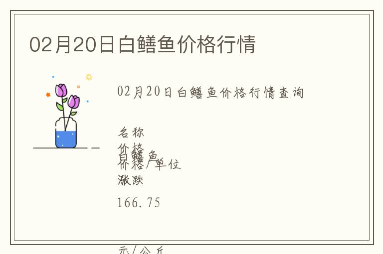 02月20日白鱔魚價格行情