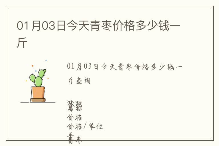 01月03日今天青棗價格多少錢一斤