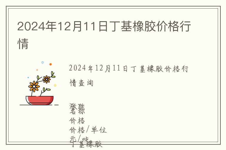 2024年12月11日丁基橡膠價格行情