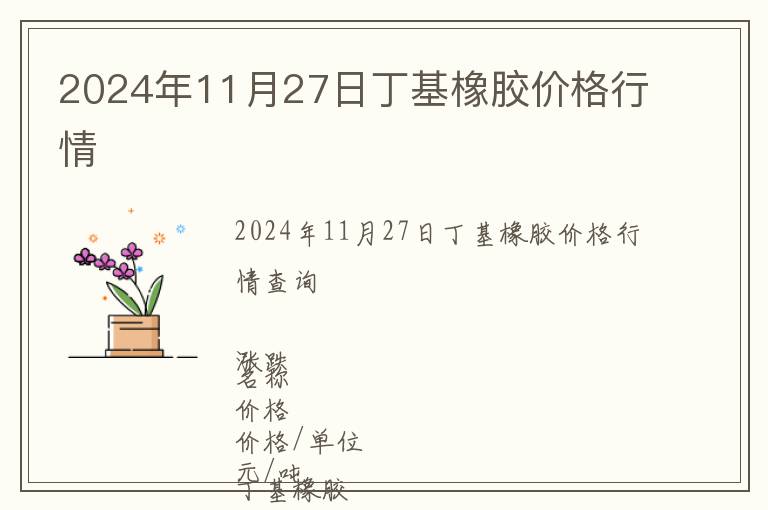 2024年11月27日丁基橡膠價格行情