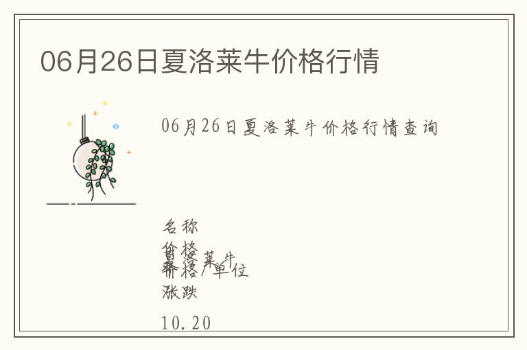 06月26日夏洛萊牛價格行情