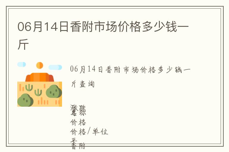 06月14日香附市場價格多少錢一斤
