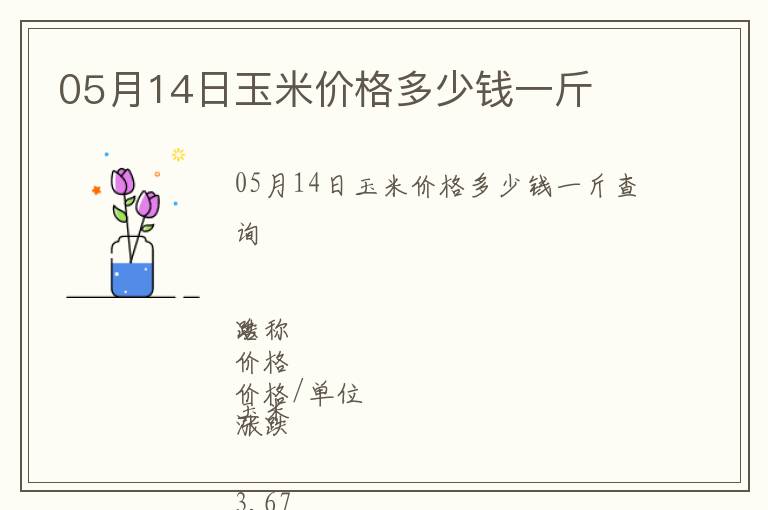 05月14日玉米價(jià)格多少錢(qián)一斤