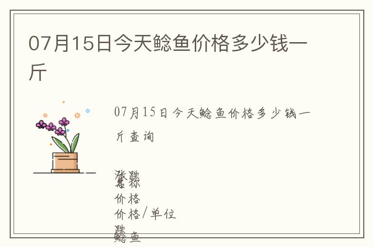 07月15日今天鯰魚價格多少錢一斤