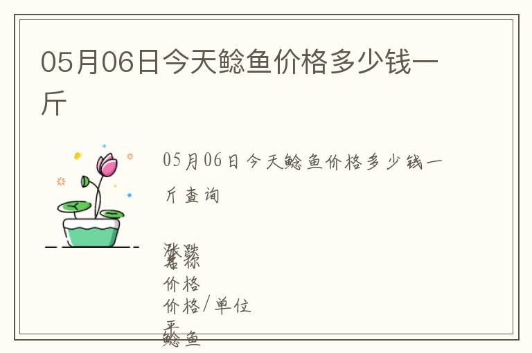 05月06日今天鯰魚價格多少錢一斤