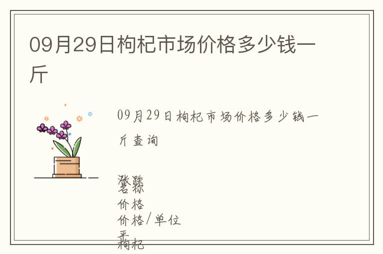 09月29日枸杞市場價格多少錢一斤