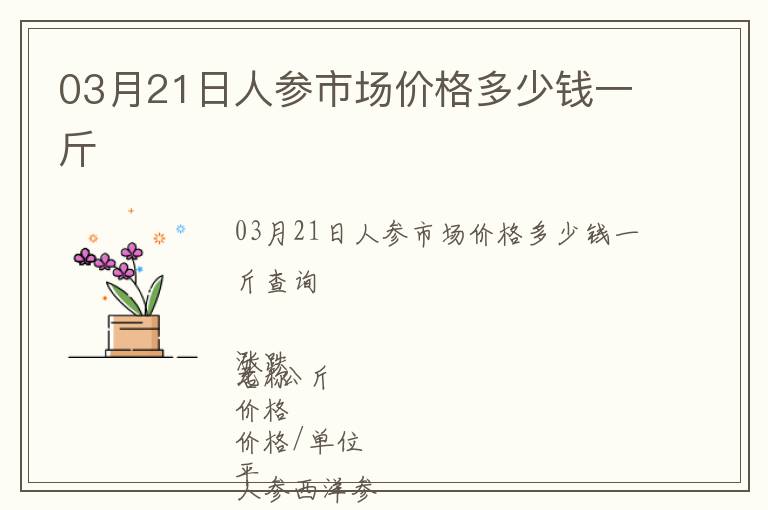 03月21日人參市場(chǎng)價(jià)格多少錢一斤