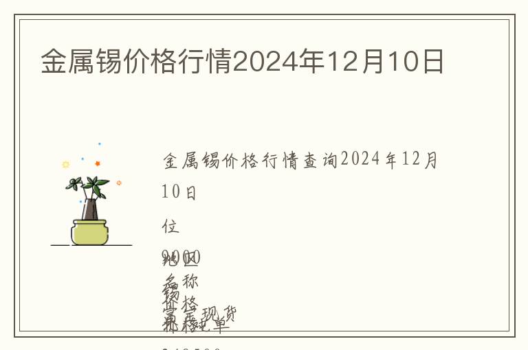 金屬錫價(jià)格行情2024年12月10日