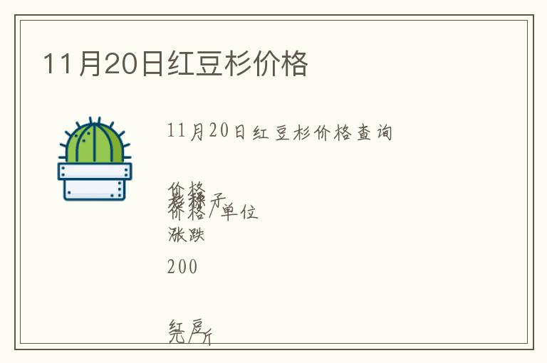 11月20日紅豆杉價格