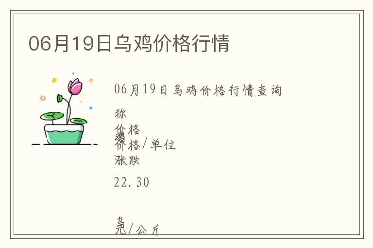 06月19日烏雞價格行情