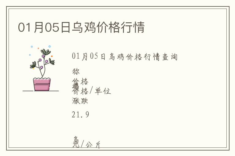 01月05日烏雞價格行情