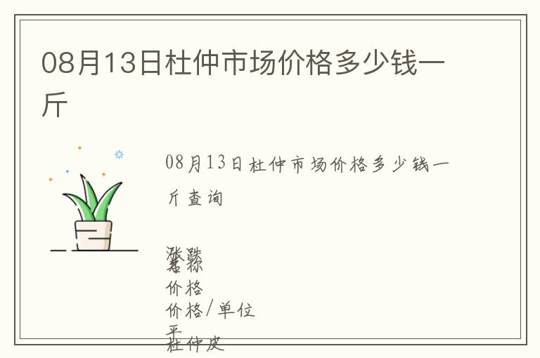 08月13日杜仲市場價(jià)格多少錢一斤