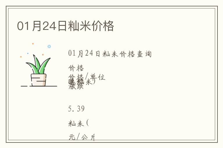 01月24日秈米價格