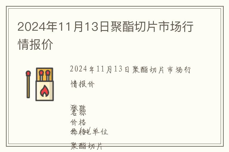 2024年11月13日聚酯切片市場行情報價