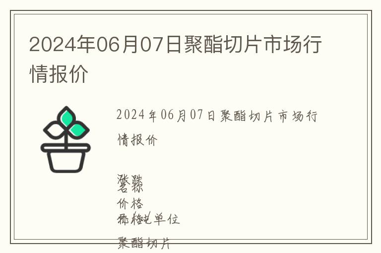 2024年06月07日聚酯切片市場(chǎng)行情報(bào)價(jià)