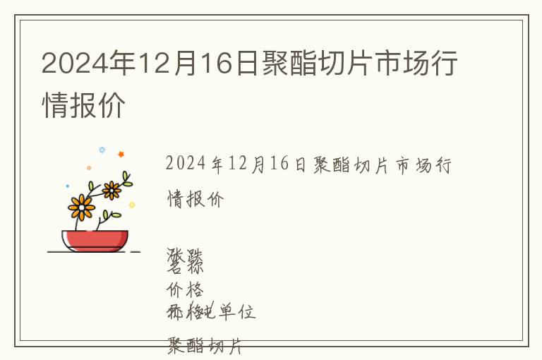 2024年12月16日聚酯切片市場行情報價