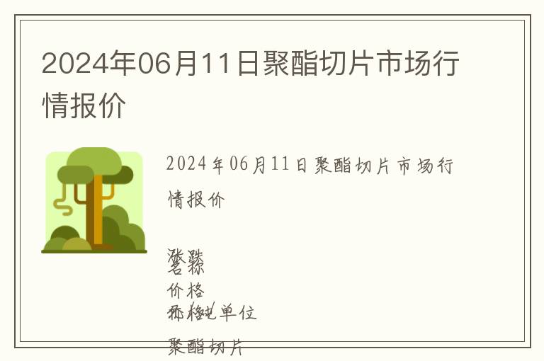 2024年06月11日聚酯切片市場行情報價