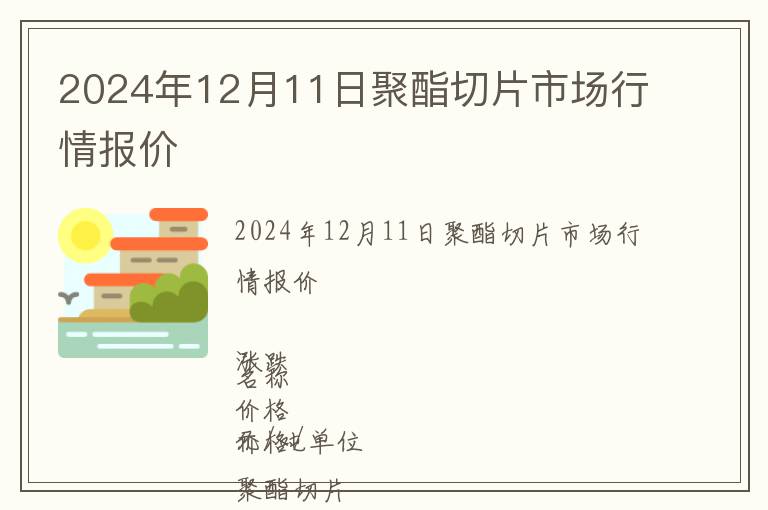 2024年12月11日聚酯切片市場行情報價