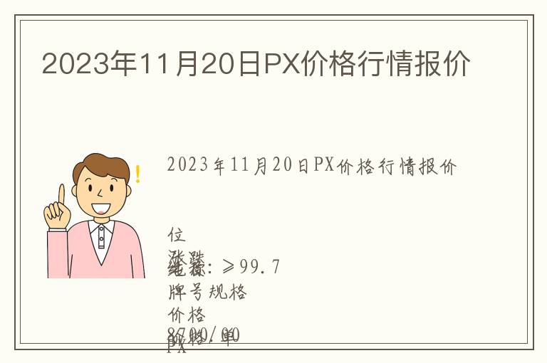 2023年11月20日PX價格行情報價