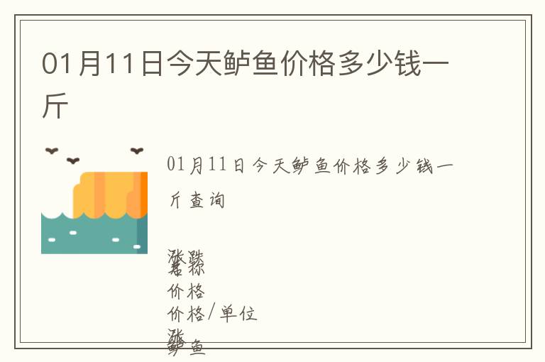 01月11日今天鱸魚價(jià)格多少錢一斤