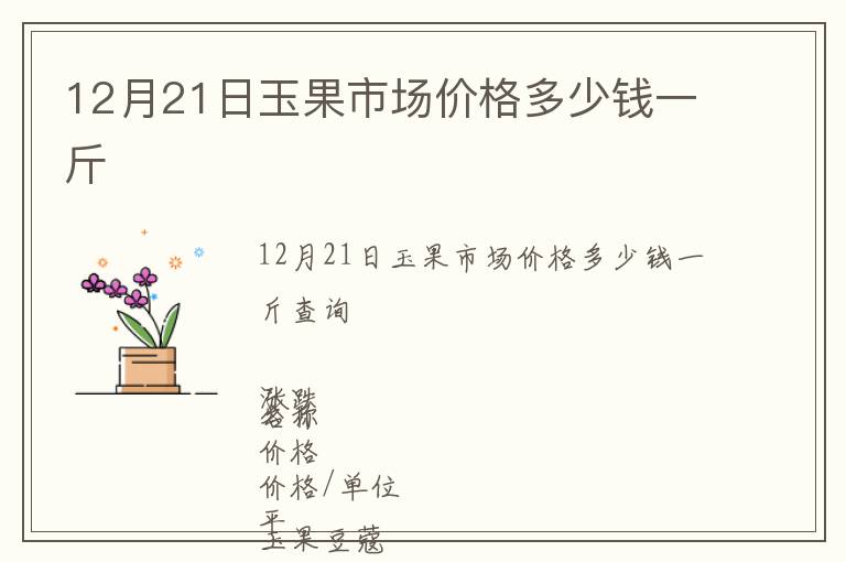 12月21日玉果市場價格多少錢一斤