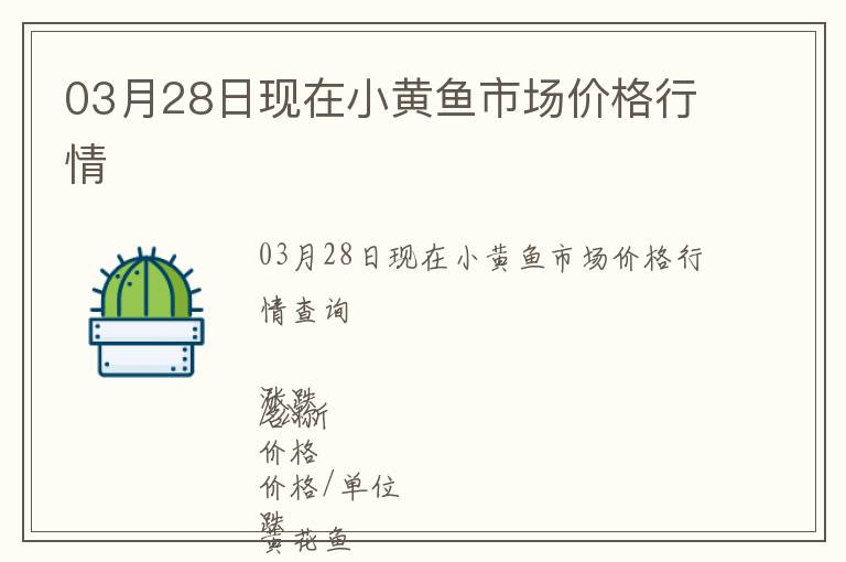 03月28日現在小黃魚市場價格行情