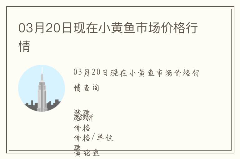 03月20日現在小黃魚市場價格行情