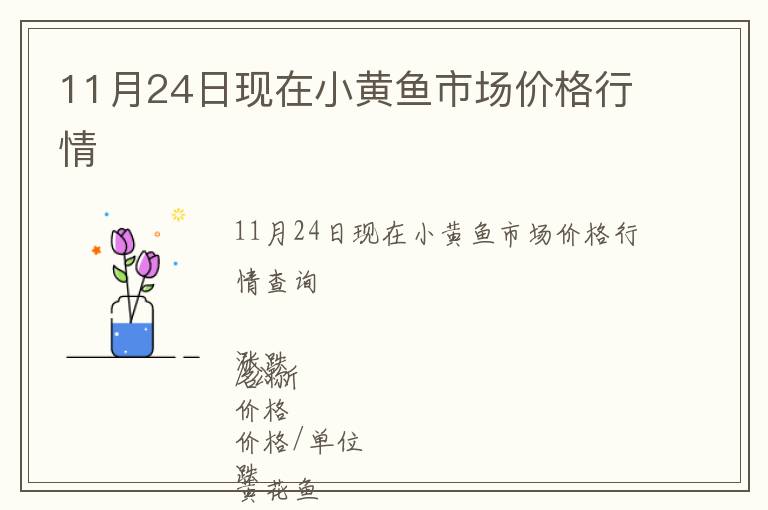 11月24日現在小黃魚市場價格行情