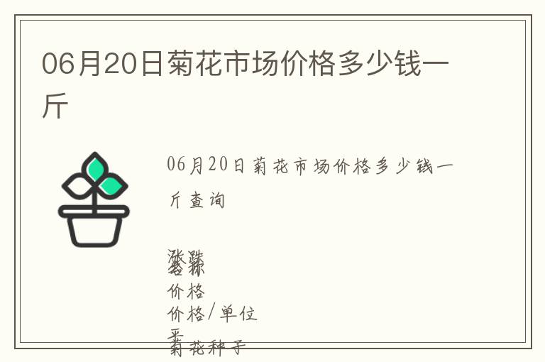 06月20日菊花市場價格多少錢一斤