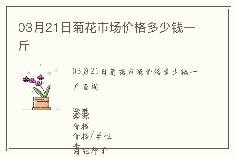 03月21日菊花市場(chǎng)價(jià)格多少錢一斤