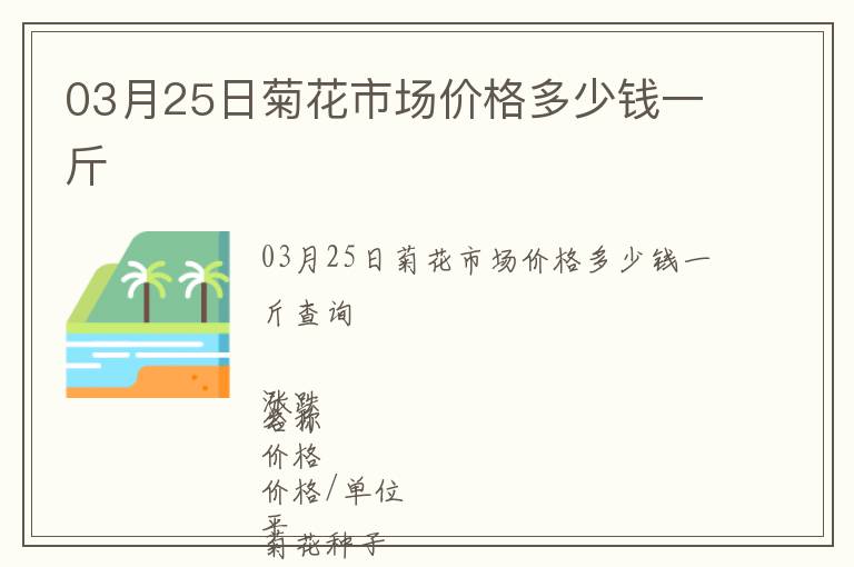 03月25日菊花市場價格多少錢一斤