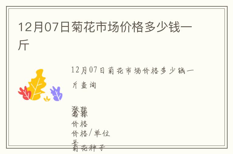 12月07日菊花市場價格多少錢一斤