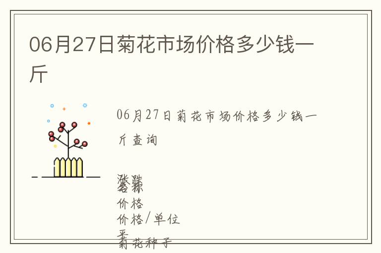 06月27日菊花市場價格多少錢一斤