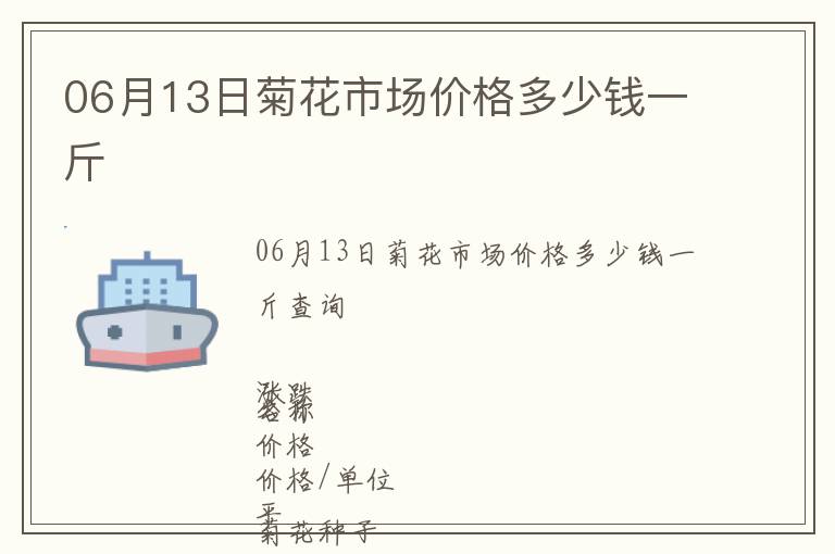 06月13日菊花市場價格多少錢一斤