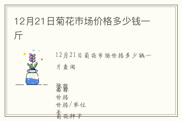 12月21日菊花市場價(jià)格多少錢一斤