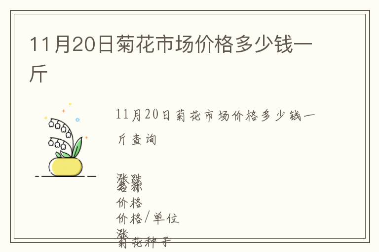 11月20日菊花市場價(jià)格多少錢一斤