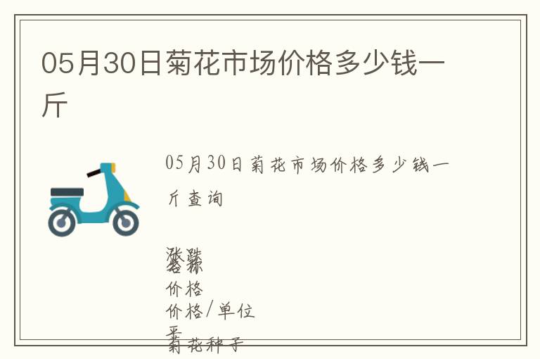 05月30日菊花市場價格多少錢一斤
