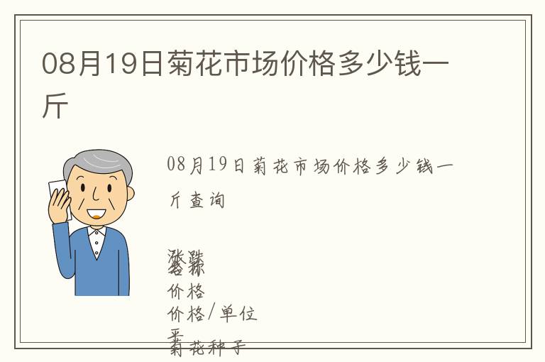 08月19日菊花市場價格多少錢一斤