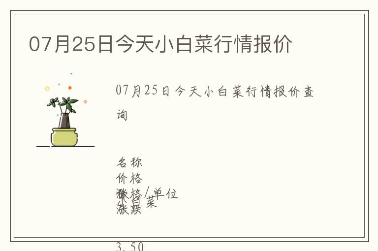 07月25日今天小白菜行情報(bào)價(jià)