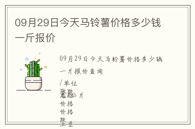 09月29日今天馬鈴薯價格多少錢一斤報價