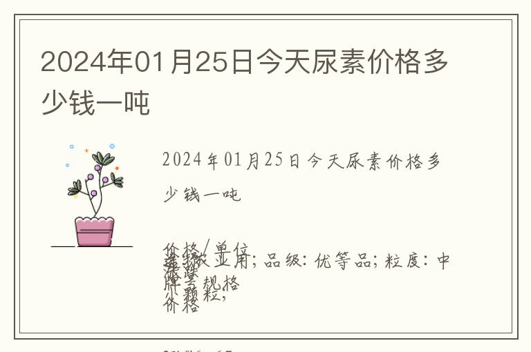 2024年01月25日今天尿素價格多少錢一噸