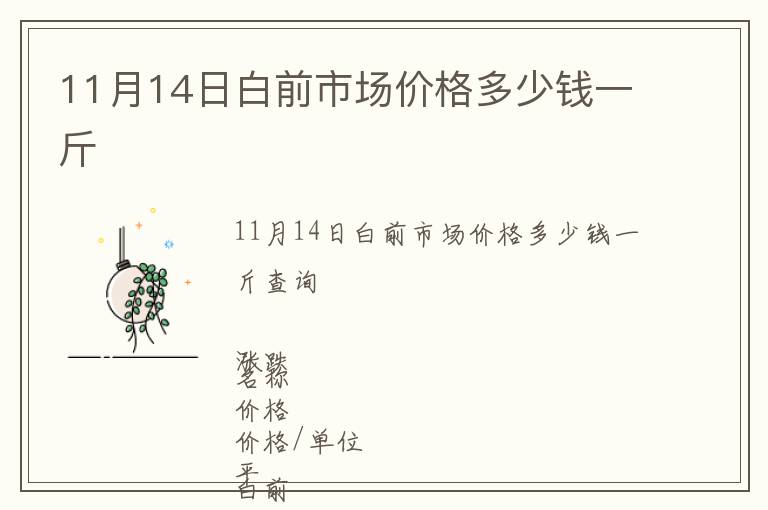 11月14日白前市場價格多少錢一斤