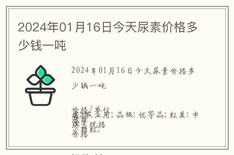 2024年01月16日今天尿素價格多少錢一噸