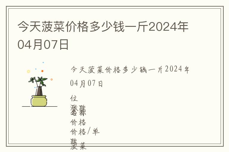 今天菠菜價格多少錢一斤2024年04月07日