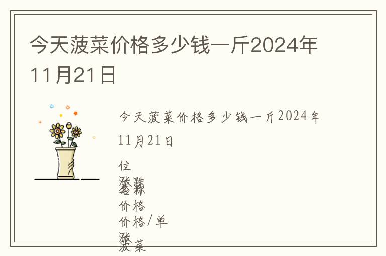 今天菠菜價格多少錢一斤2024年11月21日